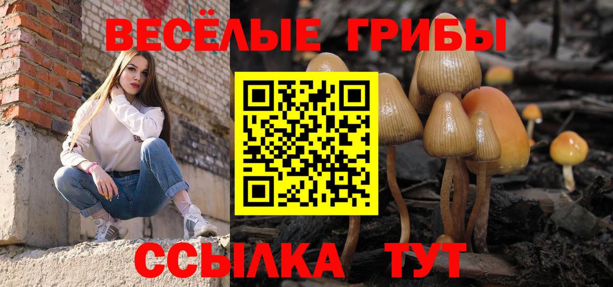 Псилоцибиновые грибы GOLDEN TEACHER Тайшет